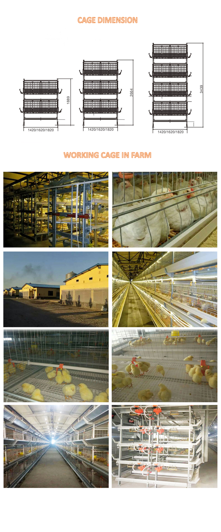 1644312635144893.jpg broiler cage 750 manual move out feeding machine.jpg