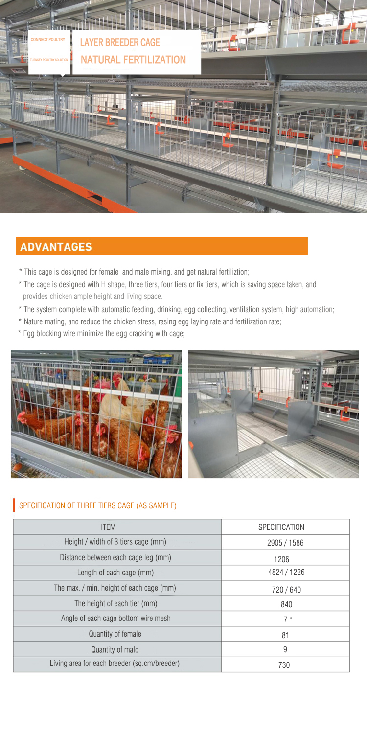 1644579829886573.jpg Cage breeder 750 -1.jpg